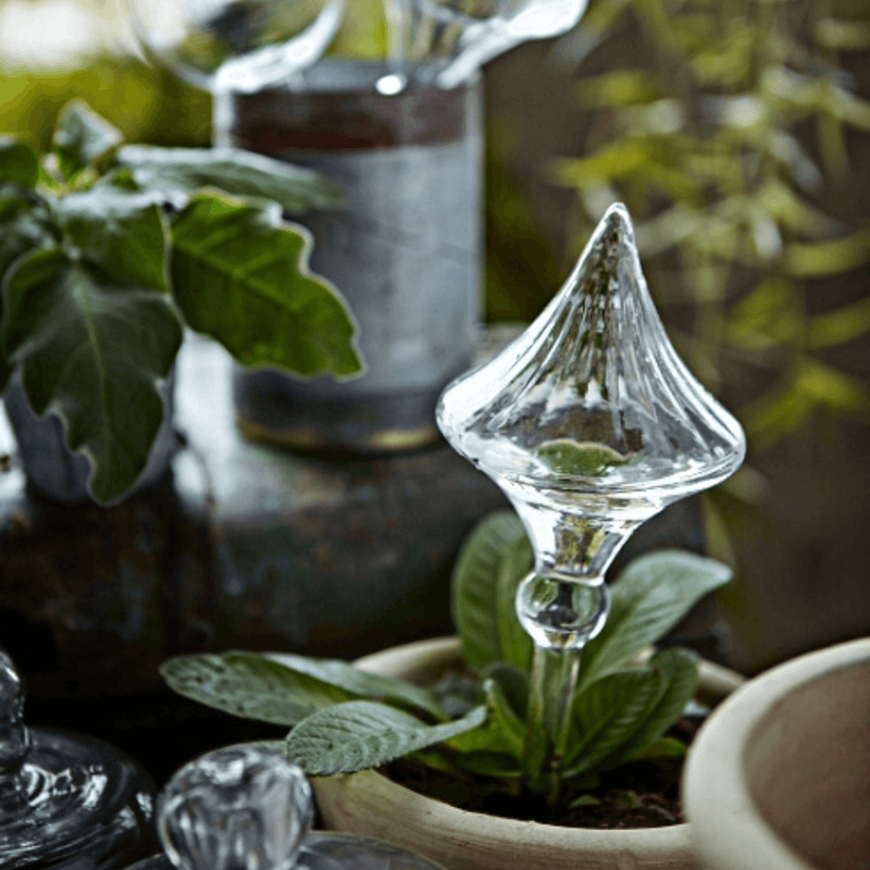 Blomvattnare i glas - För alla rum