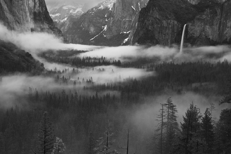 Fog Floating In Yosemite Valley Poster, Storlek 50x70 cm - Fynda julklapparn hos Forallarum.se!